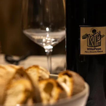 Pepe Paz Y Encanto Natural Venkovský dům Villaran (Burgos)