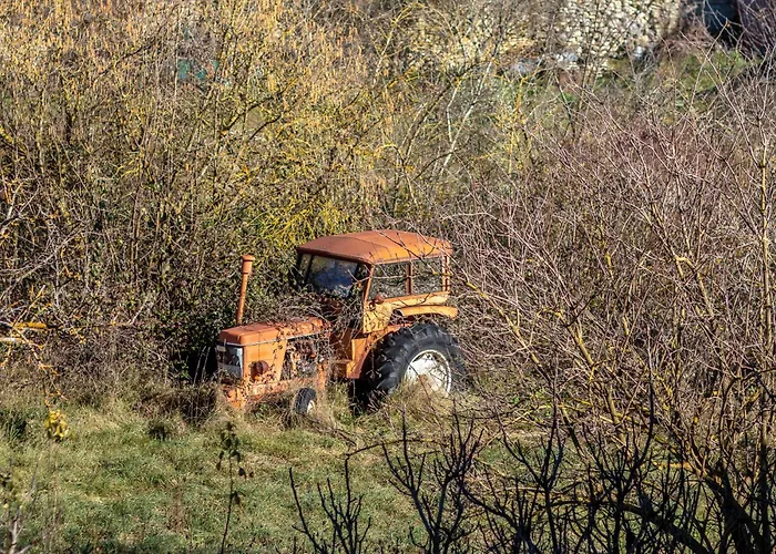 컨트리하우스 Pepe Paz Y Encanto Natural *
