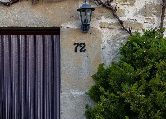 Pepe Paz Y Encanto Natural